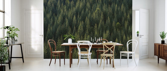 PHOTOWALL / Pine Tree Forest (e313535)