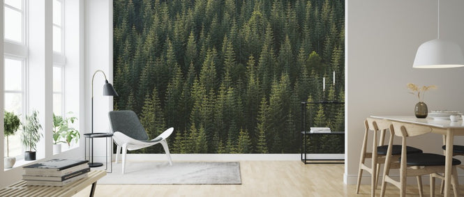 PHOTOWALL / Pine Tree Forest (e313535)