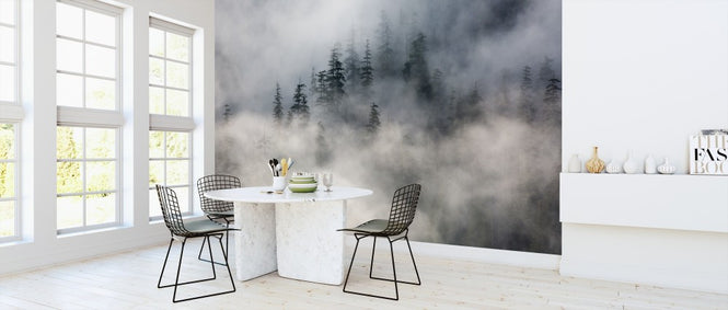 PHOTOWALL / Forest Fog (e313550)