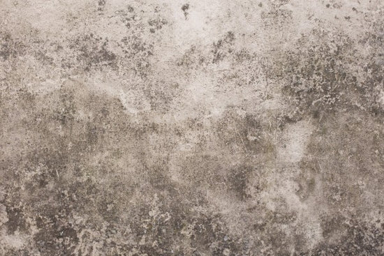 PHOTOWALL / Textured Brixton Wall (e313644)