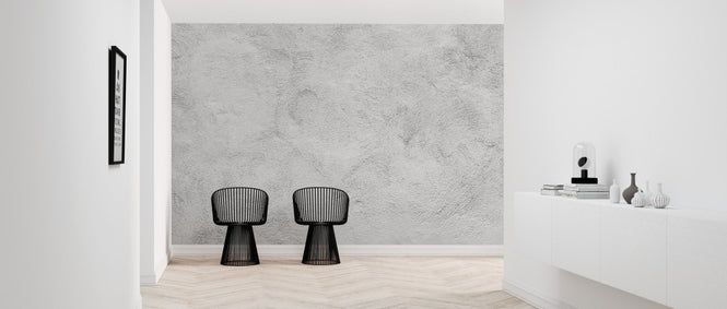 PHOTOWALL / White Washed Concrete (e313659)