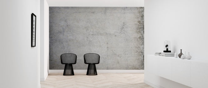 PHOTOWALL / Flushed Concrete (e313673)