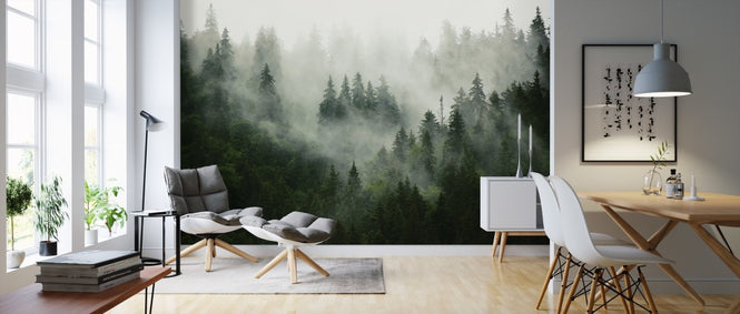 PHOTOWALL / Foggy Forest (e313674)