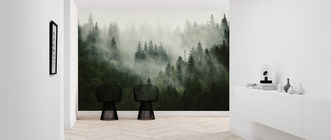 PHOTOWALL / Foggy Forest (e313674)