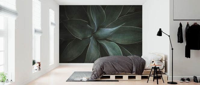 PHOTOWALL / Macro Agave (e313681)