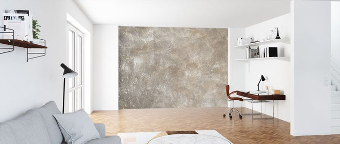 PHOTOWALL / Weathered Wall (e313718)