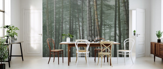 PHOTOWALL / Misty Forest (e313880)