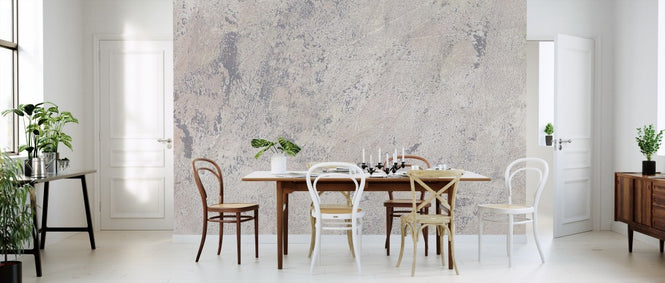 PHOTOWALL / Weathered Toned Wall (e313899)