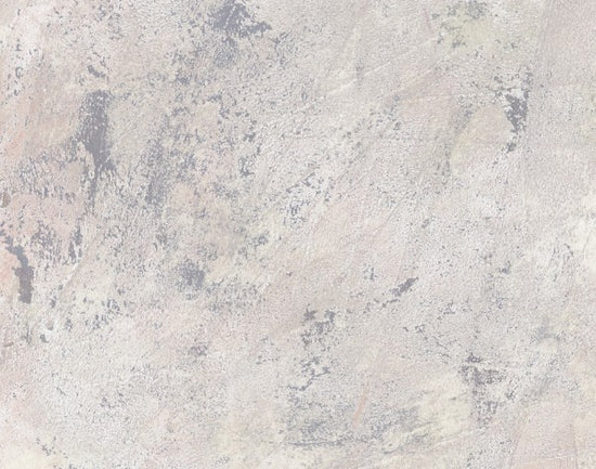 PHOTOWALL / Weathered Toned Wall (e313899)