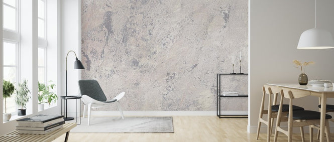 PHOTOWALL / Weathered Toned Wall (e313899)