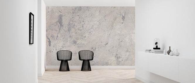 PHOTOWALL / Weathered Toned Wall (e313899)