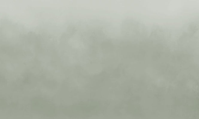 PHOTOWALL / Air - Spring Forest (e314450)