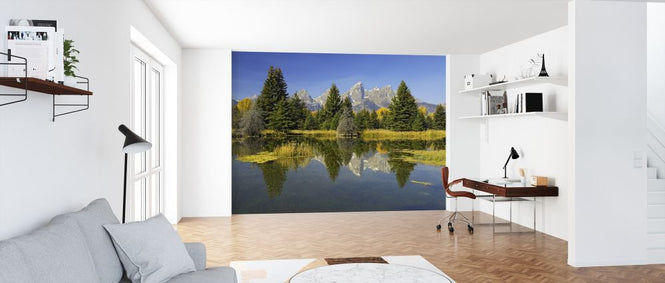 PHOTOWALL / Beaver Pond (e314485)