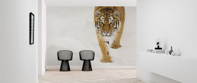 PHOTOWALL / Siberian Tiger (e314435)