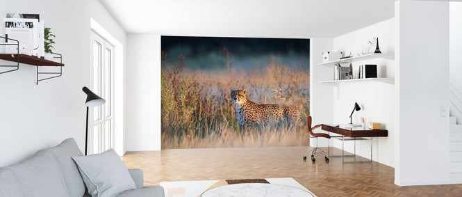 PHOTOWALL / Cheetah in Morning Light (e314530)