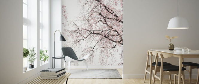 PHOTOWALL / Cherry Blossoms (e314331)