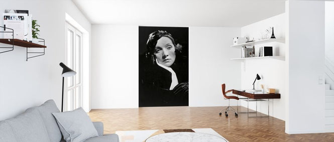 PHOTOWALL / Marlene Dietrich in Shanghai Express (e314745)