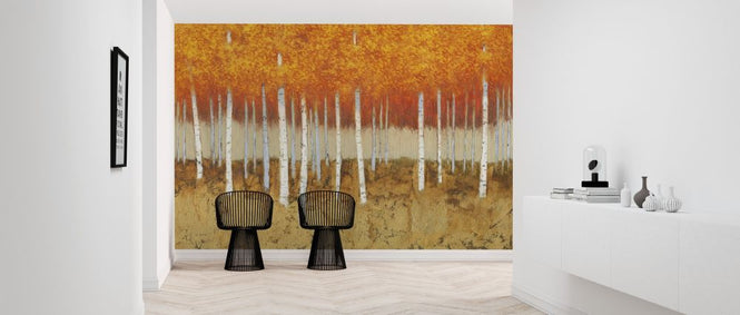 PHOTOWALL / Autumn Birches (e315276)