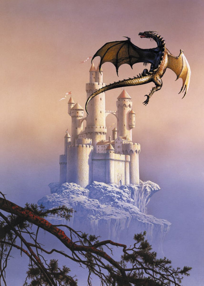 PHOTOWALL / Flying Dragon (e315481)