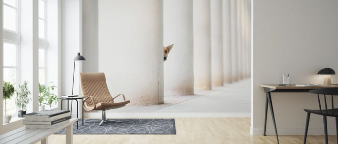 PHOTOWALL / Bella and the Pillars of the Earth (e315310)