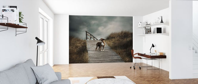 PHOTOWALL / Dog on Boardwalk (e315311)