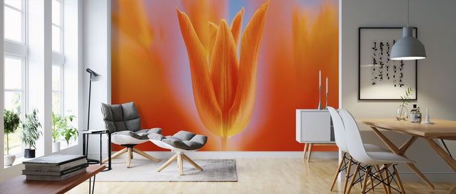 PHOTOWALL / Flower Blooming (e315318)