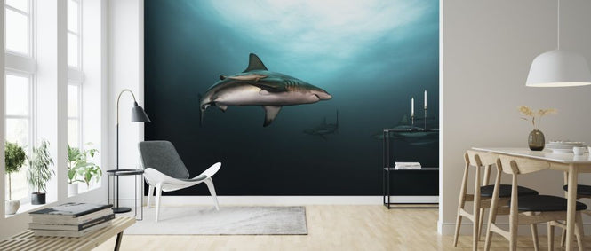 PHOTOWALL / Great White Shark (e315323)