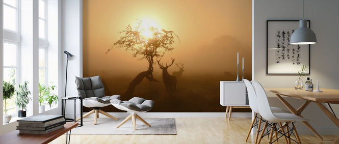 PHOTOWALL / Sun and Deers (e315329)