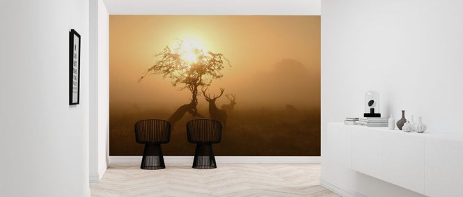PHOTOWALL / Sun and Deers (e315329)