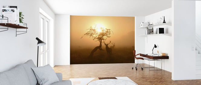 PHOTOWALL / Sun and Deers (e315329)