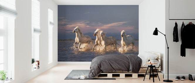 PHOTOWALL / Angels of Camargue II (e315339)
