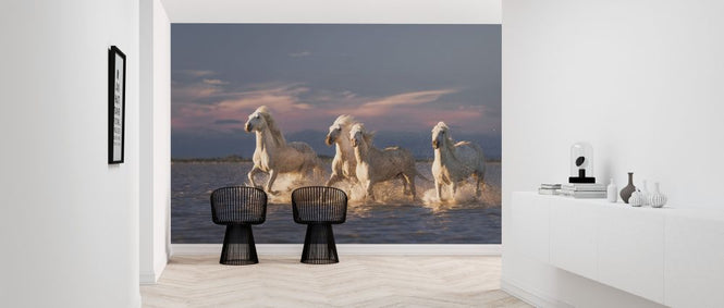 PHOTOWALL / Angels of Camargue II (e315339)