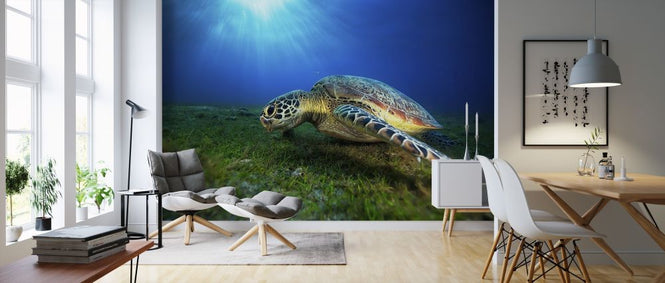 PHOTOWALL / Green Turtle (e315344)