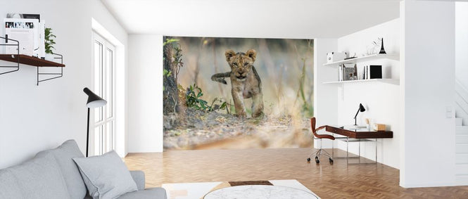 PHOTOWALL / Cub South Luangwa (e315379)