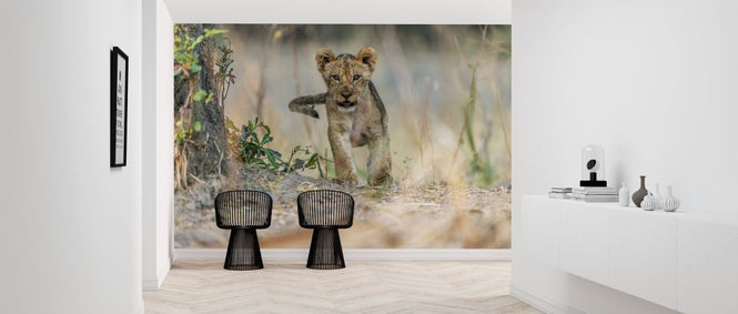 PHOTOWALL / Cub South Luangwa (e315379)