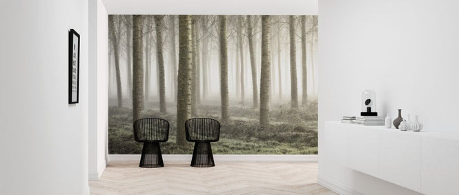 PHOTOWALL / Small Woodland (e315382)