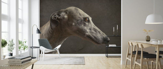 PHOTOWALL / Anna (e315396)