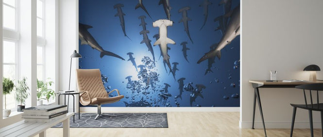 PHOTOWALL / Hammerhead Shark (e315416)