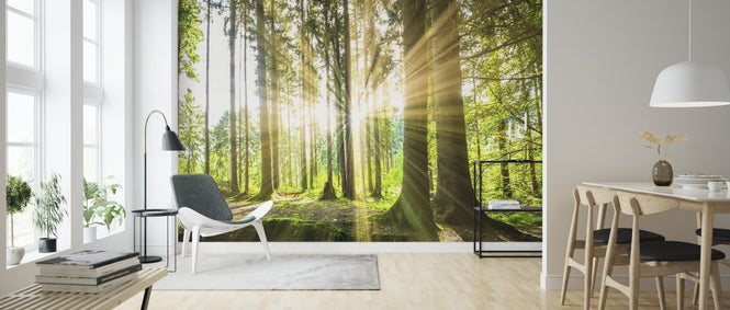 PHOTOWALL / Forest with Sun (e315802)