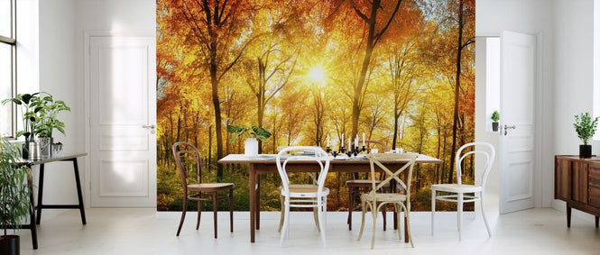 PHOTOWALL / Autumn Forest (e315812)