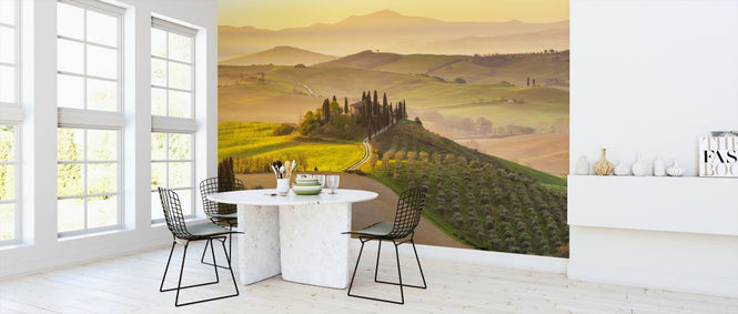 PHOTOWALL / Tuscany Vineyard (e315821)