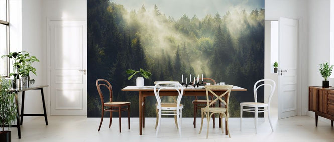 PHOTOWALL / Misty Forest (e315848)