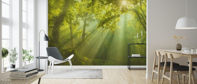PHOTOWALL / Green Forest Sunlight (e315852)