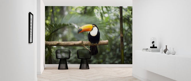 PHOTOWALL / Toucan on the branch (e315857)