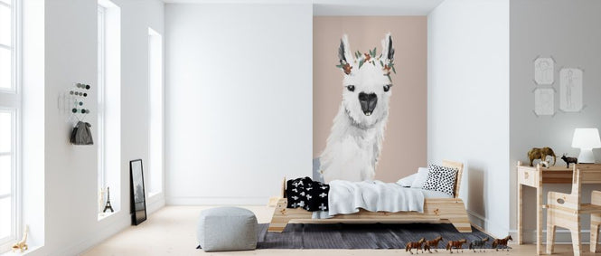 PHOTOWALL / Delightful Alpacas (e315599)