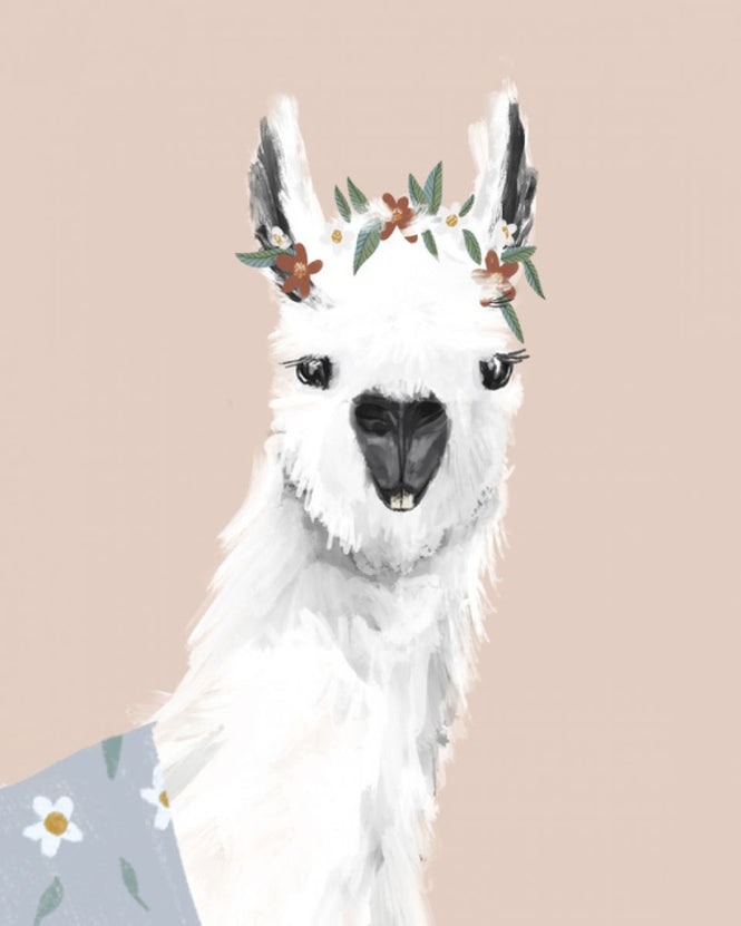 PHOTOWALL / Delightful Alpacas (e315599)
