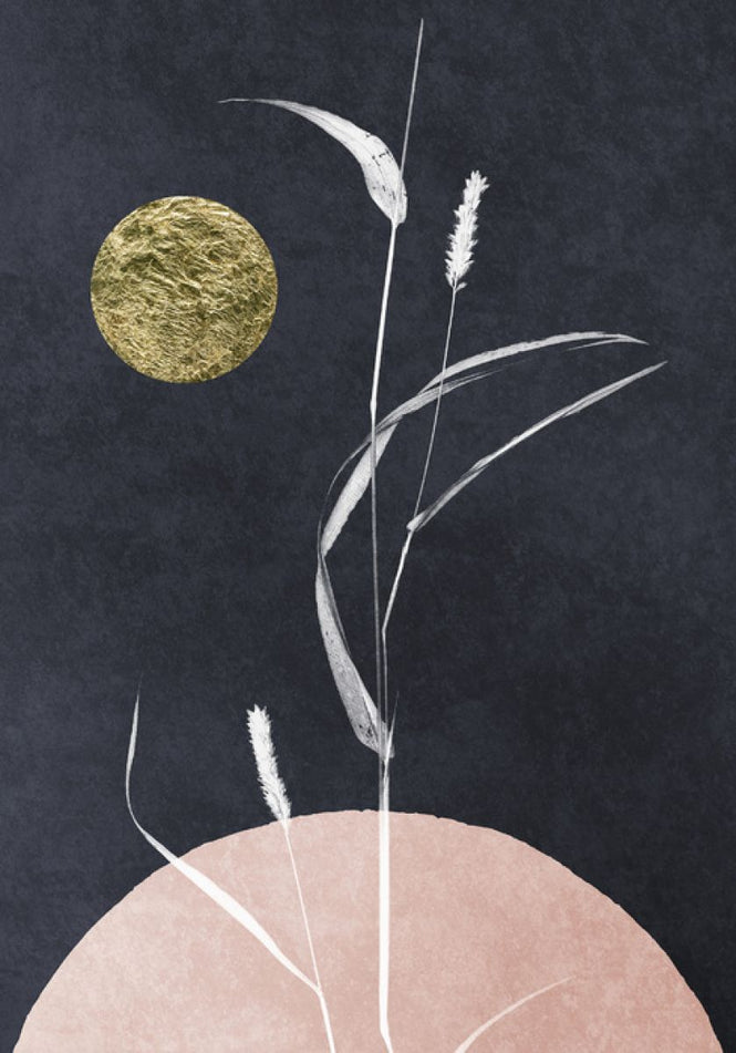 PHOTOWALL / Glooming in the Dark (e315944)