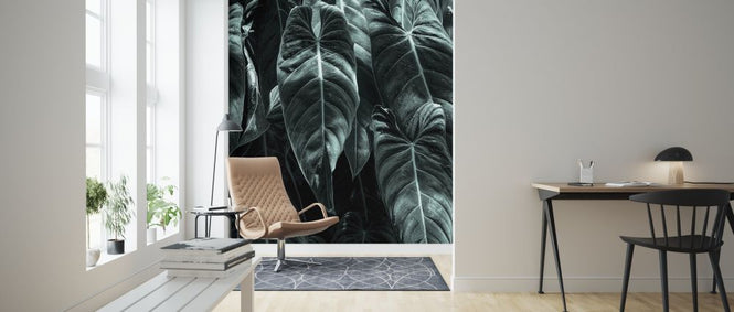 PHOTOWALL / Jungle (e315968)