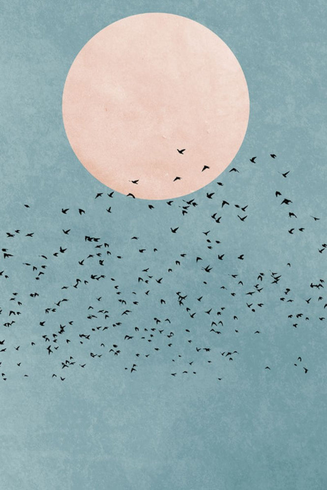 PHOTOWALL / Fly Away (e315988)