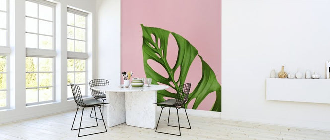 PHOTOWALL / Philodendron Leaf (e316045)